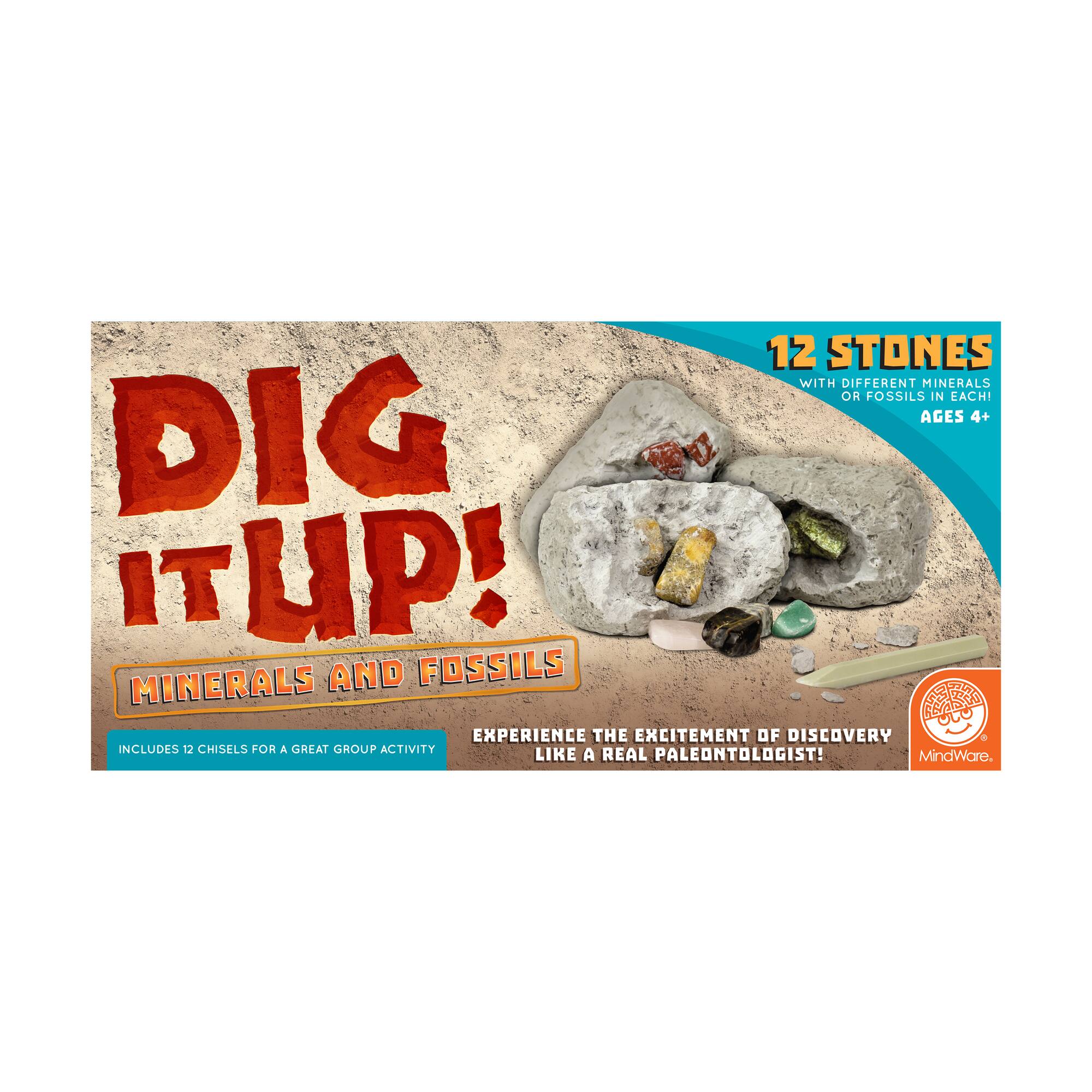 Dig It Up! - Minerals and Fossils